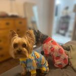 Manvel Lakes Animal Hospital