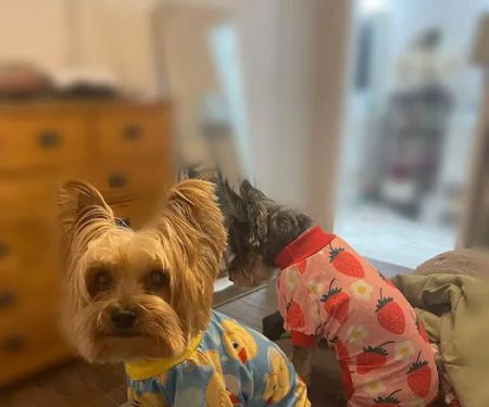 Manvel Lakes Animal Hospital