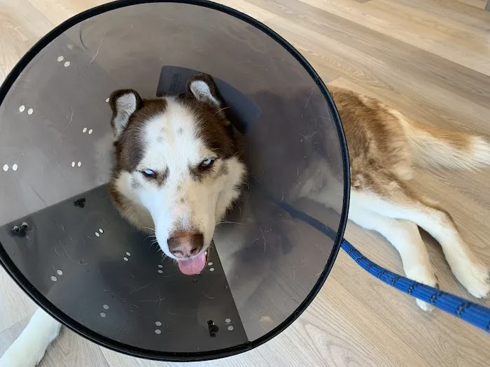 Sheldon Family Veterinary Picture 5