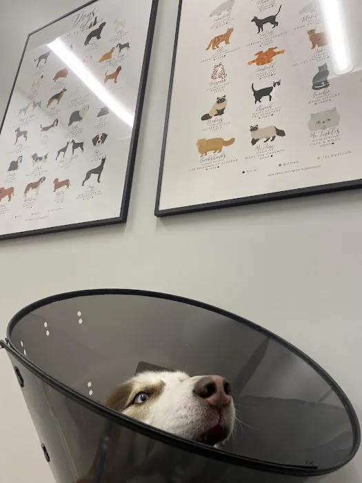 Sheldon Family Veterinary Picture 6