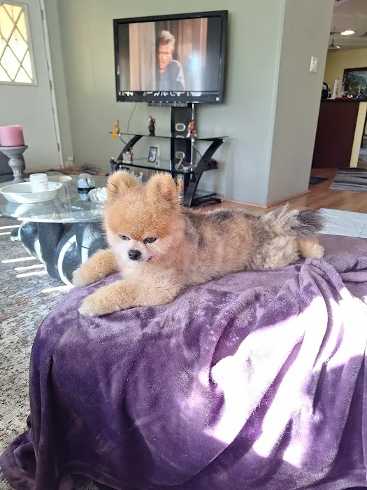Sheldon Family Veterinary Picture 9