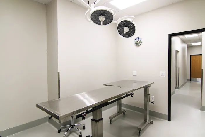 Roseville Animal Hospital Picture 7