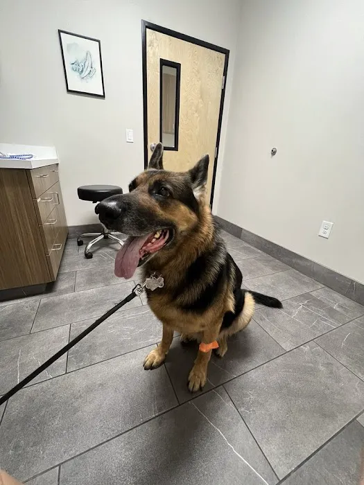 Roseville Animal Hospital Picture 4