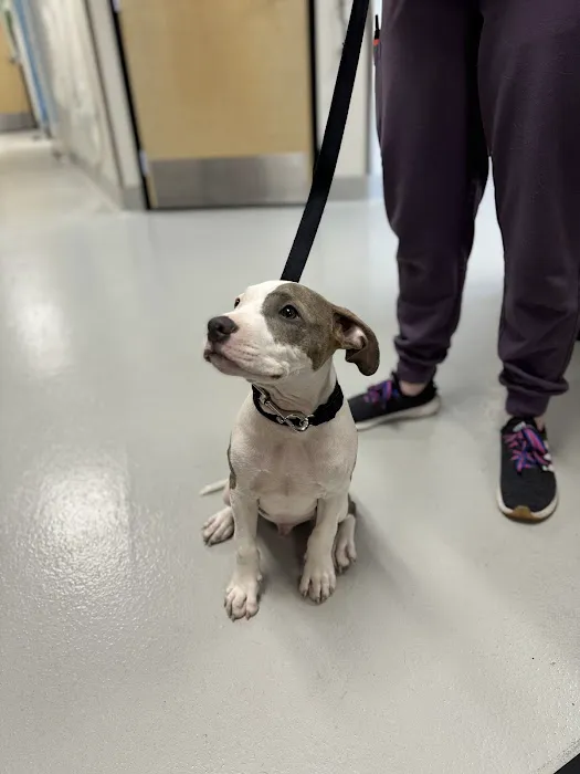 Roseville Animal Hospital Picture 2