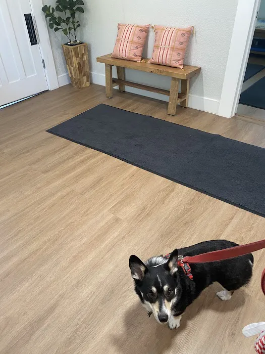 Paw Chi Holistic Veterinary Care Picture 10