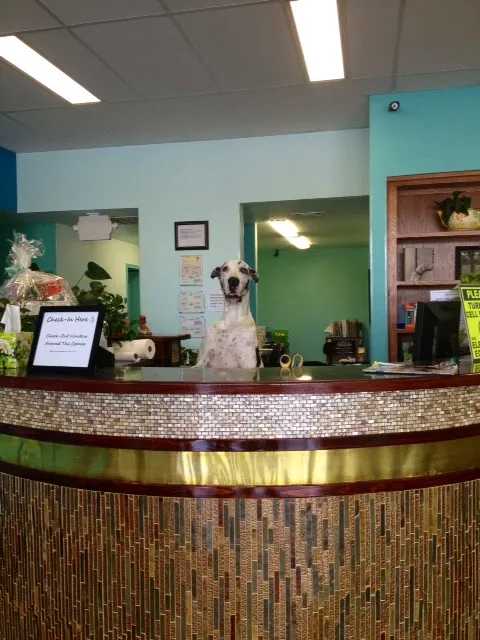 PetCare Veterinary Clinic Picture 3