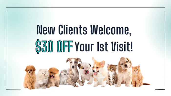 PetCare Veterinary Clinic Picture 6