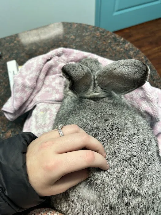 PetCare Veterinary Clinic Picture 5