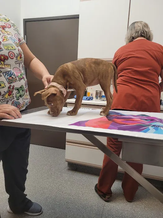 Cirby Ridge Animal Hospital Picture 5