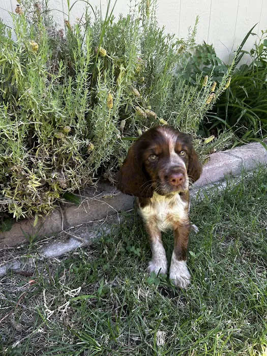 Cirby Ridge Animal Hospital Picture 6