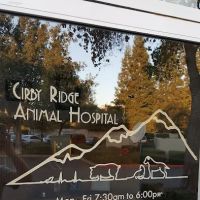 Cirby Ridge Animal Hospital ico