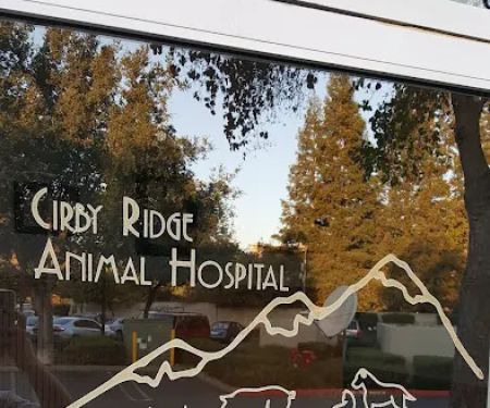 Cirby Ridge Animal Hospital