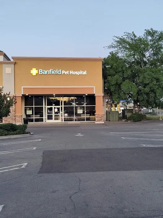 Banfield Pet Hospital Picture 9