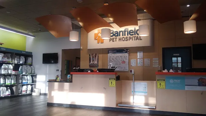 Banfield Pet Hospital Picture 5