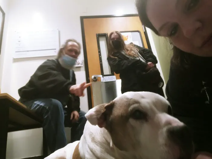 Banfield Pet Hospital Picture 10