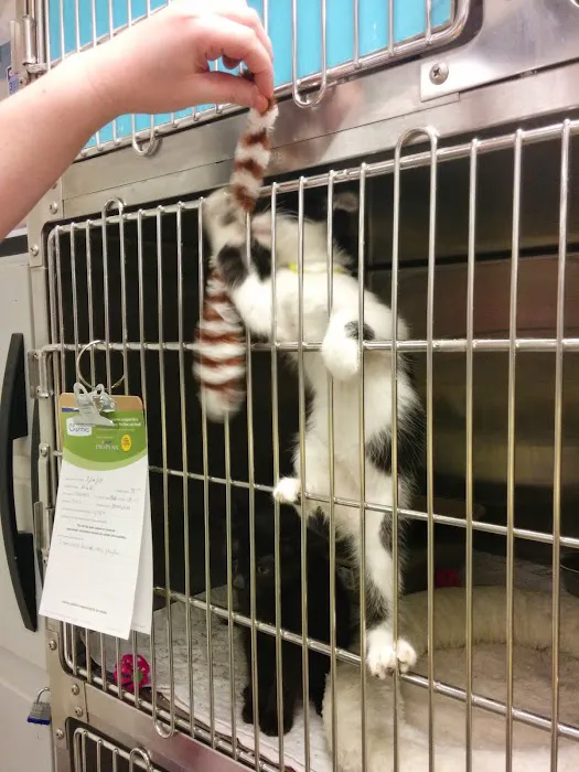Banfield Pet Hospital Picture 6