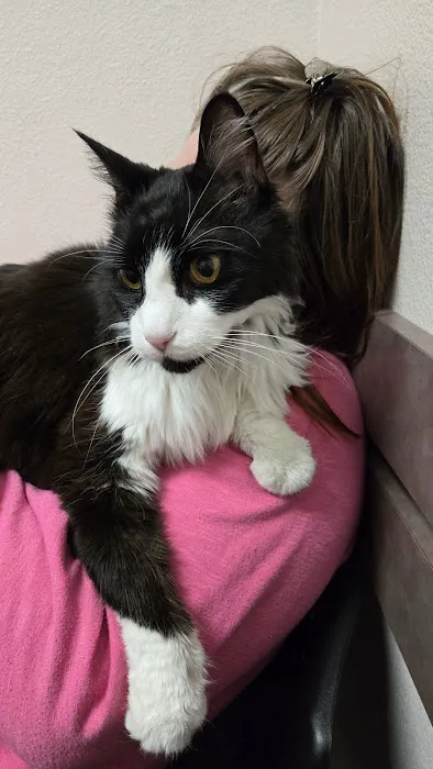 Bird & Pet Clinic of Roseville Picture 7