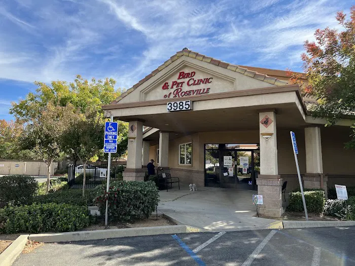 Bird & Pet Clinic of Roseville Picture 6