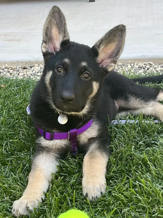 Arbor View Veterinary Clinic Picture 6