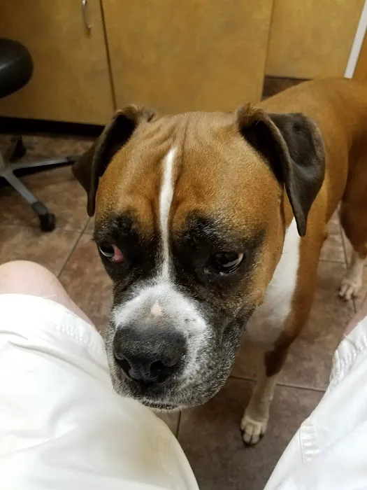 Arbor View Veterinary Clinic Picture 10