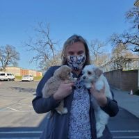 Arbor View Veterinary Clinic ico