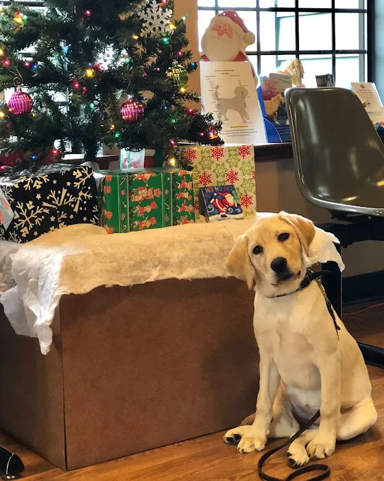 All American City Veterinary Hospital Picture 4