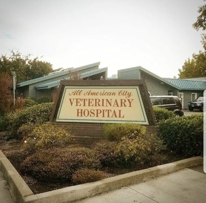 All American City Veterinary Hospital Picture 8