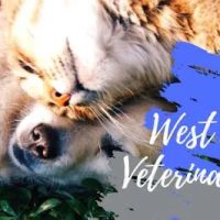 West Roseville Veterinary Hospital ico
