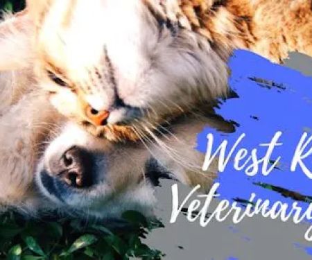 West Roseville Veterinary Hospital