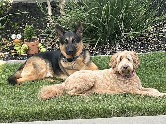 West Roseville Veterinary Hospital Picture 7