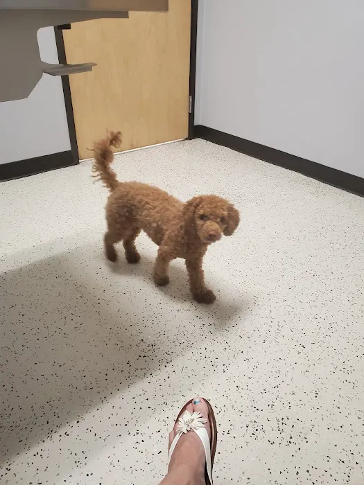 Dry Creek Veterinary Center Picture 3