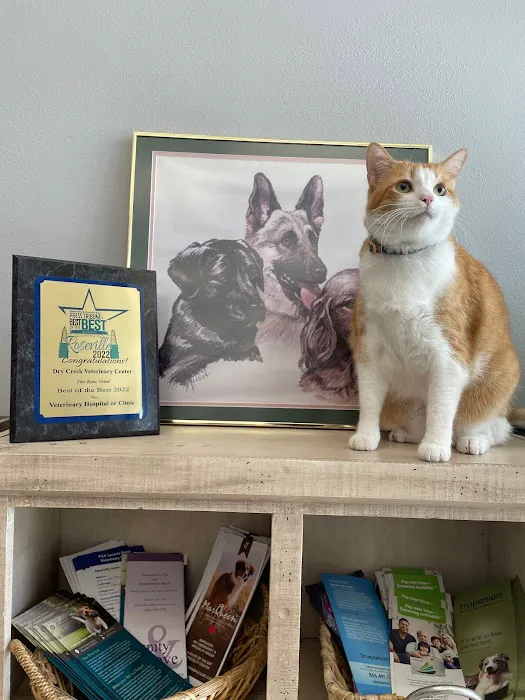 Dry Creek Veterinary Center Picture 4