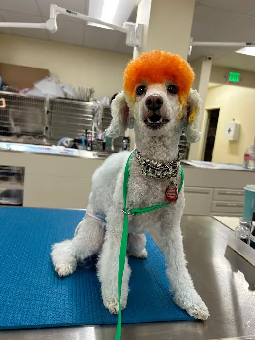Roseville Animal Medical Center Picture 7