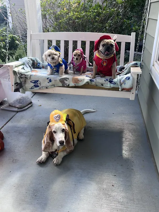 Atlantic Street Pet Hospital Picture 6