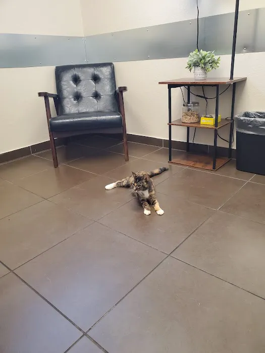 Atlantic Street Pet Hospital Picture 8