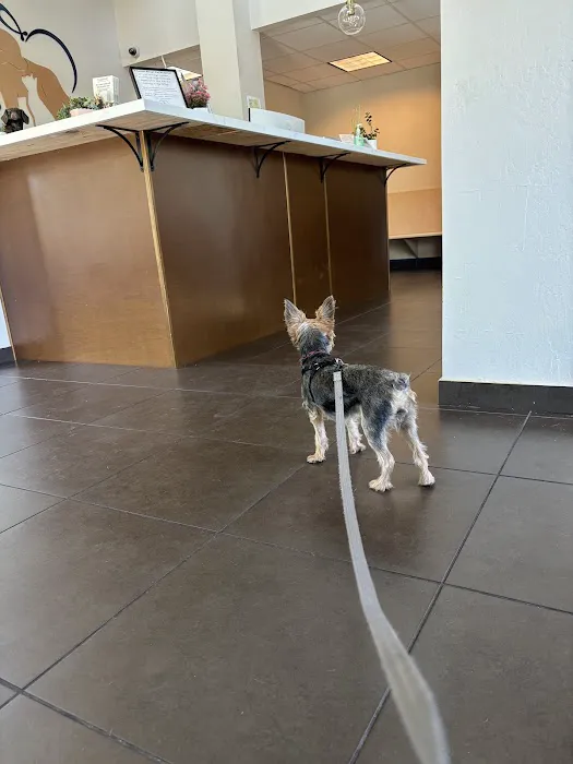 Atlantic Street Pet Hospital Picture 4