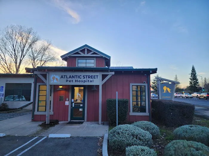 Atlantic Street Pet Hospital Picture 7