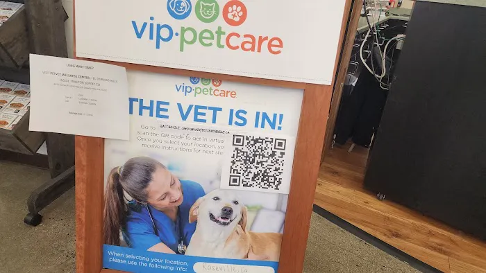 VIP Petcare Vaccination Clinic Picture 1