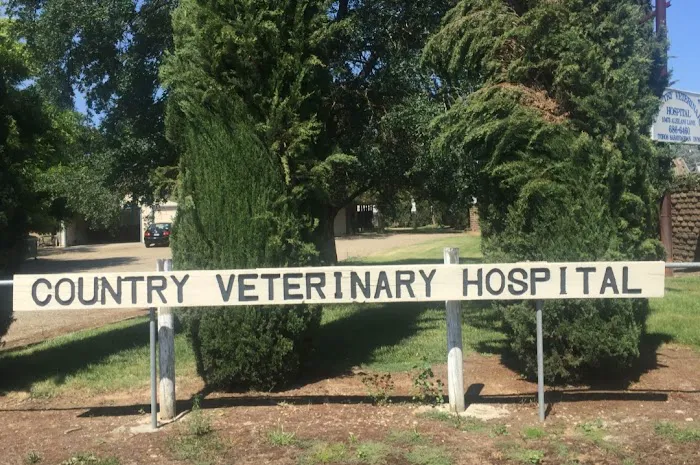 Country Veterinary Hospital Picture 3