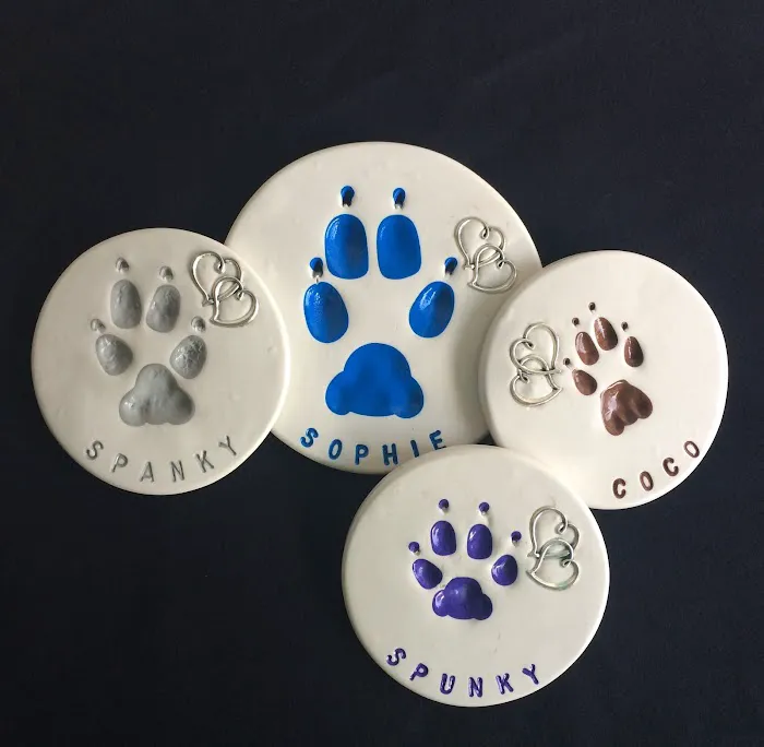 Sacramento Valley Veterinary Services Picture 4