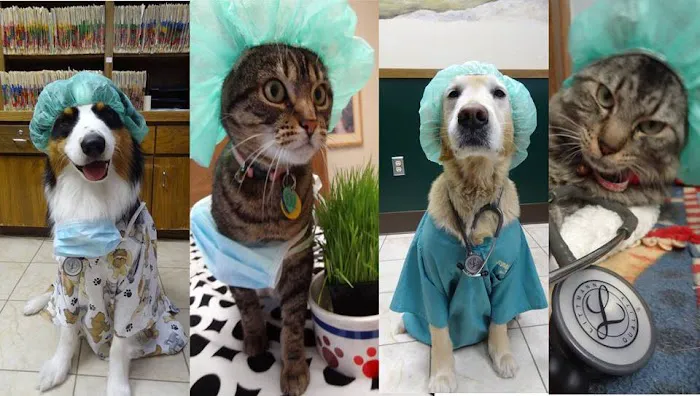 Hazel Ridge Veterinary Clinic Picture 2