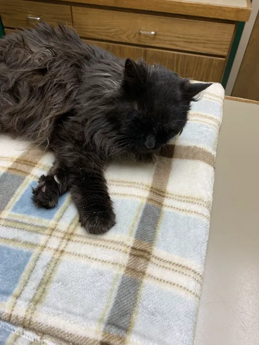 Hazel Ridge Veterinary Clinic Picture 9