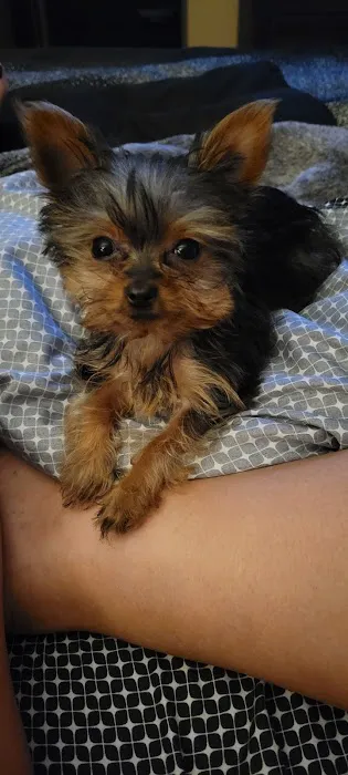 Mercy Pet Hospital Picture 3