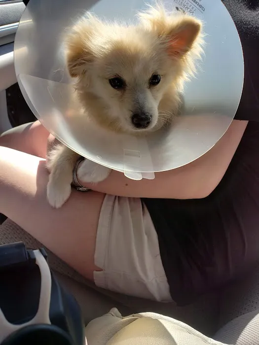 Mercy Pet Hospital Picture 8