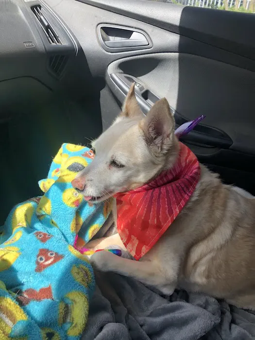 Mercy Pet Hospital Picture 2