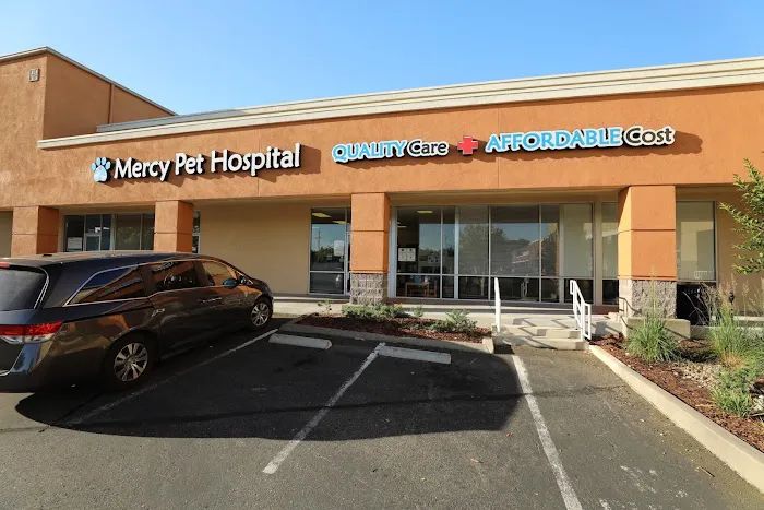 Mercy Pet Hospital Picture 4