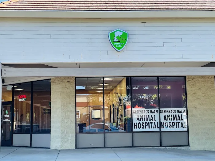 Greenback Hazel Animal Hospital Picture 2
