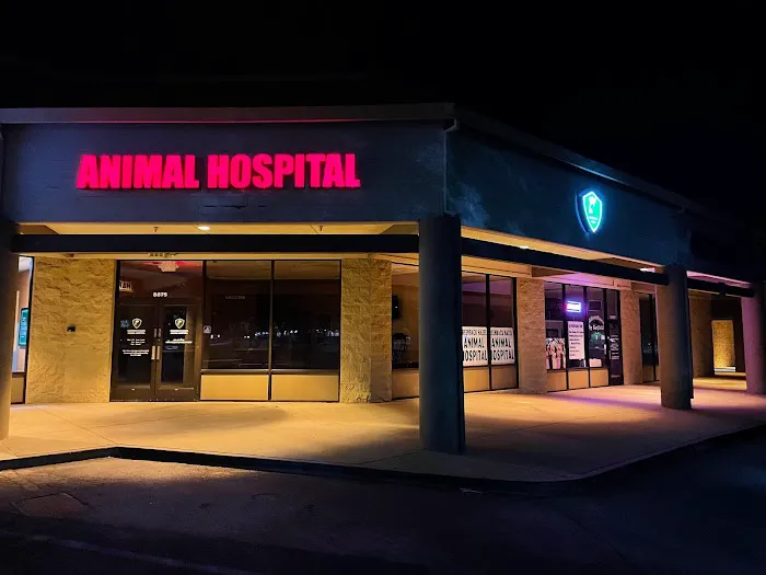 Greenback Hazel Animal Hospital Picture 1