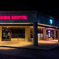 Greenback Hazel Animal Hospital ico