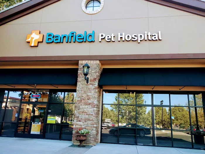 Banfield Pet Hospital Picture 1